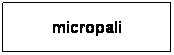 Casella di testo: micropali
