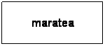 Casella di testo: maratea
