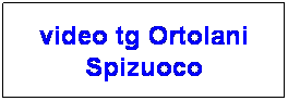 Casella di testo: video tg Ortolani Spizuoco
