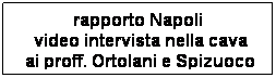 Casella di testo: rapporto Napoli
 video intervista nella cava
 ai proff. Ortolani e Spizuoco 
 

