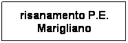 Casella di testo: risanamento P.E. Marigliano
