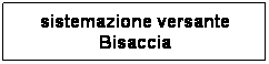 Casella di testo: versante in roccia Domicella
